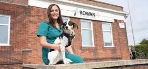 vets in rossendale|Vets in Rossendale, Lancashire .